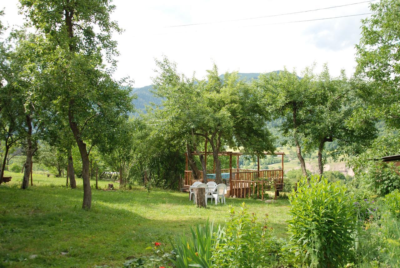 Laila Guest House Mestia Kültér fotó