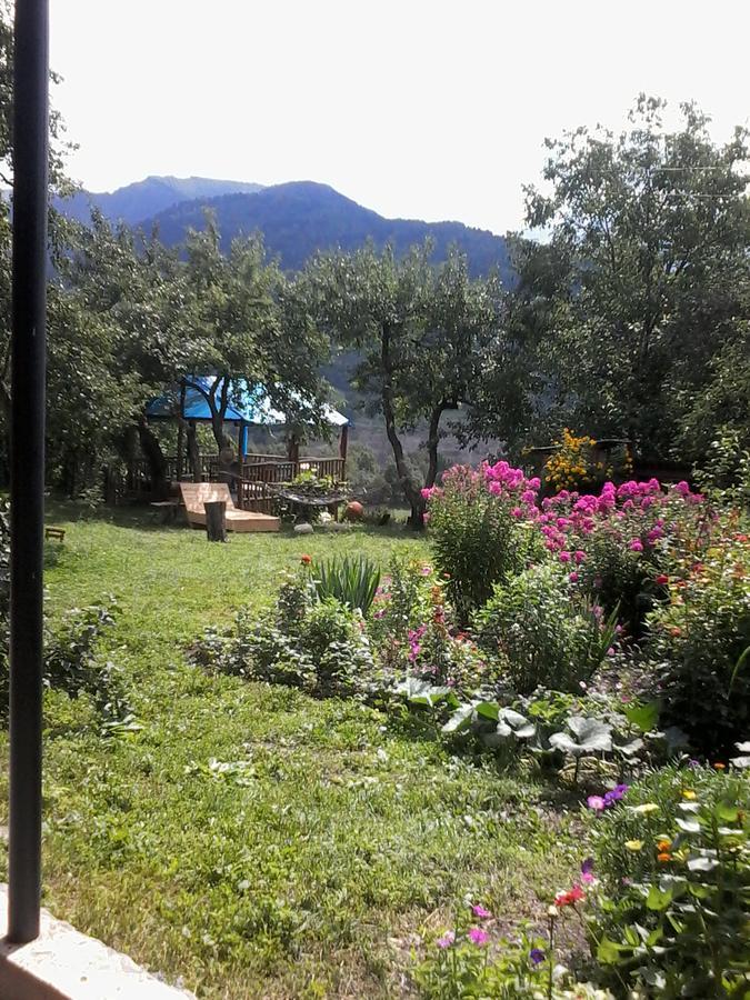 Laila Guest House Mestia Kültér fotó
